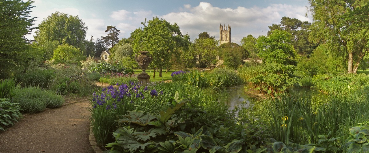 The Oxford Botanical Gardens